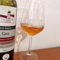 Gea Vigne di San Lorenzo