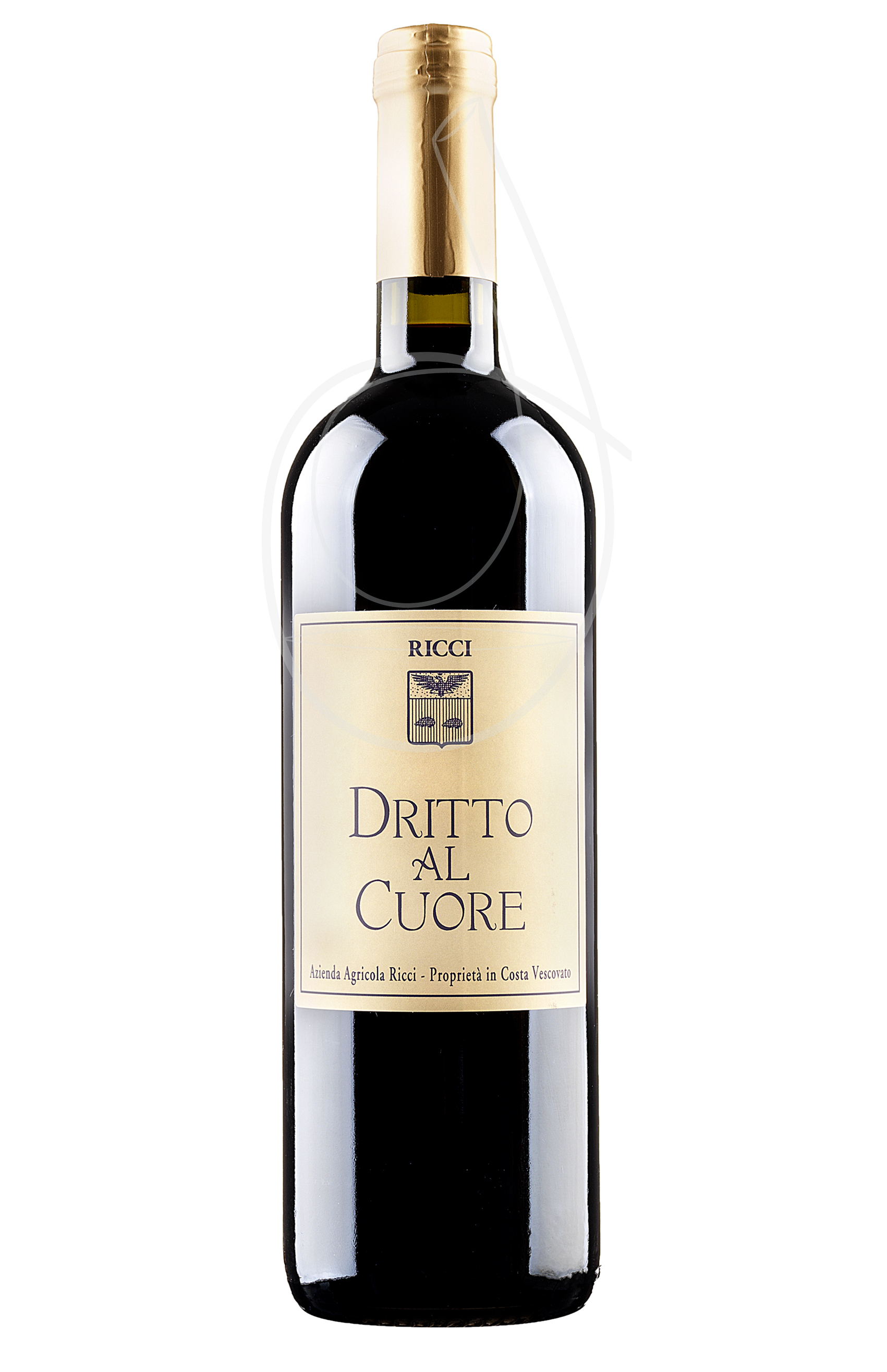 Dritto-al-Cuore-Daniele-Ricci
